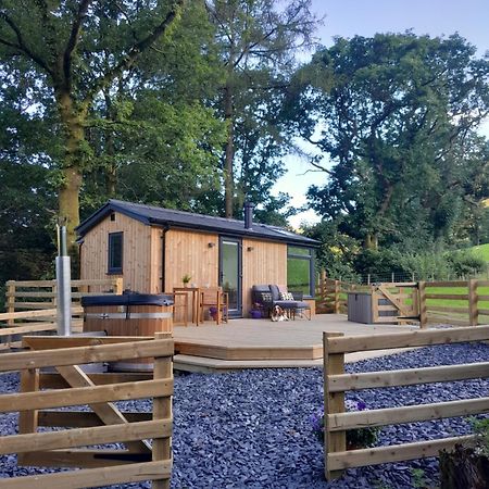 Ty Nant Gwenyn Villa Llanymawddwy Eksteriør bilde